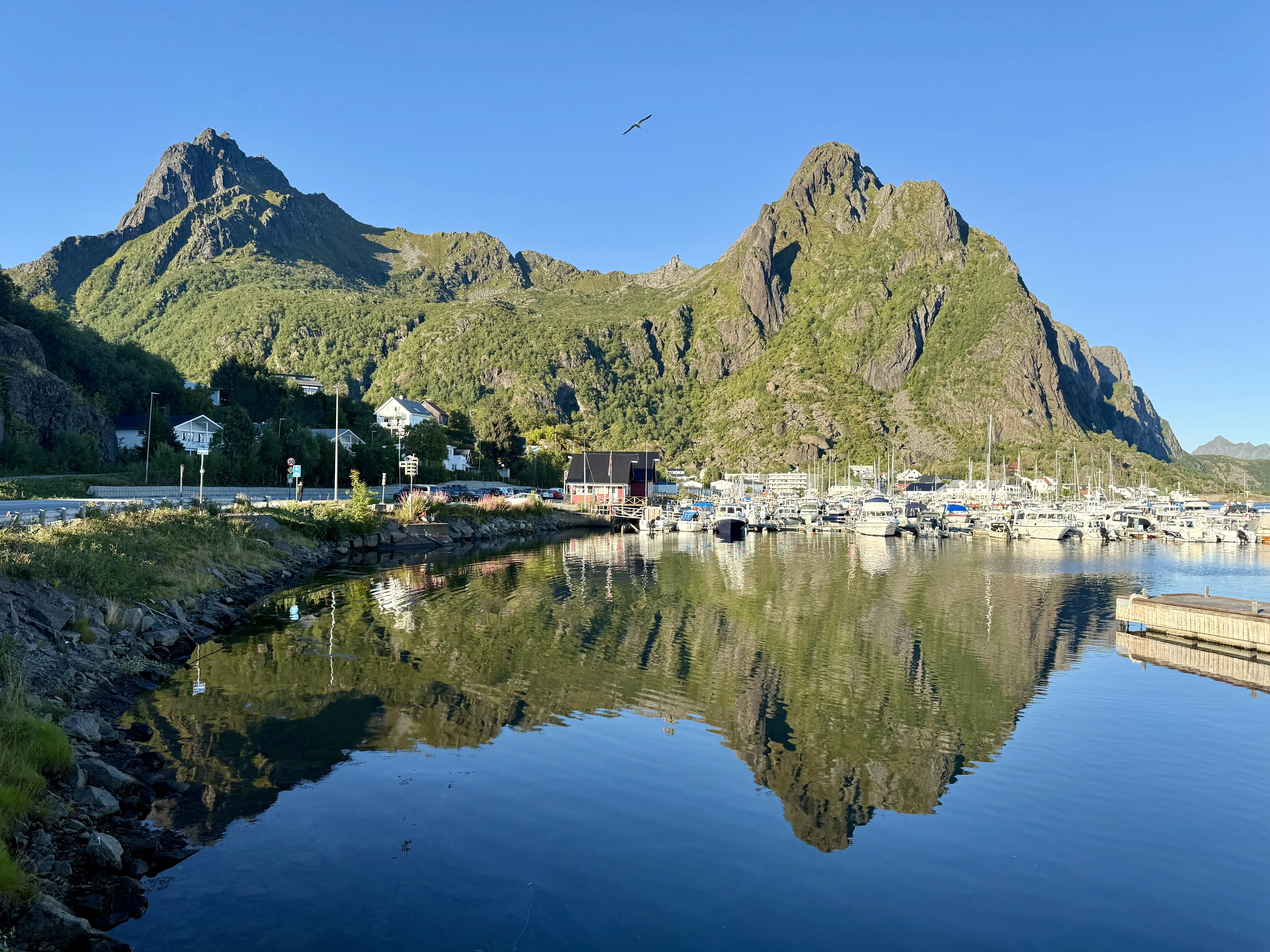 Harbour reflection in Lofoten